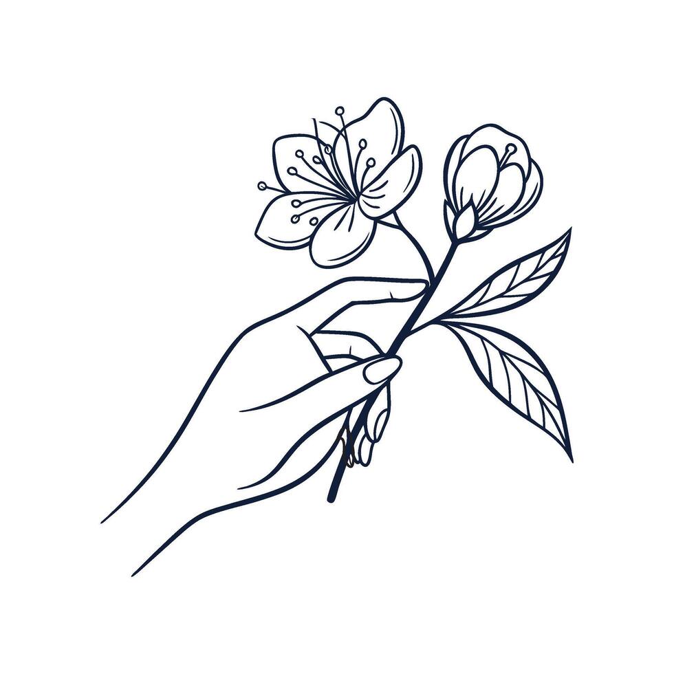 hand holding a flower, line drawing vector