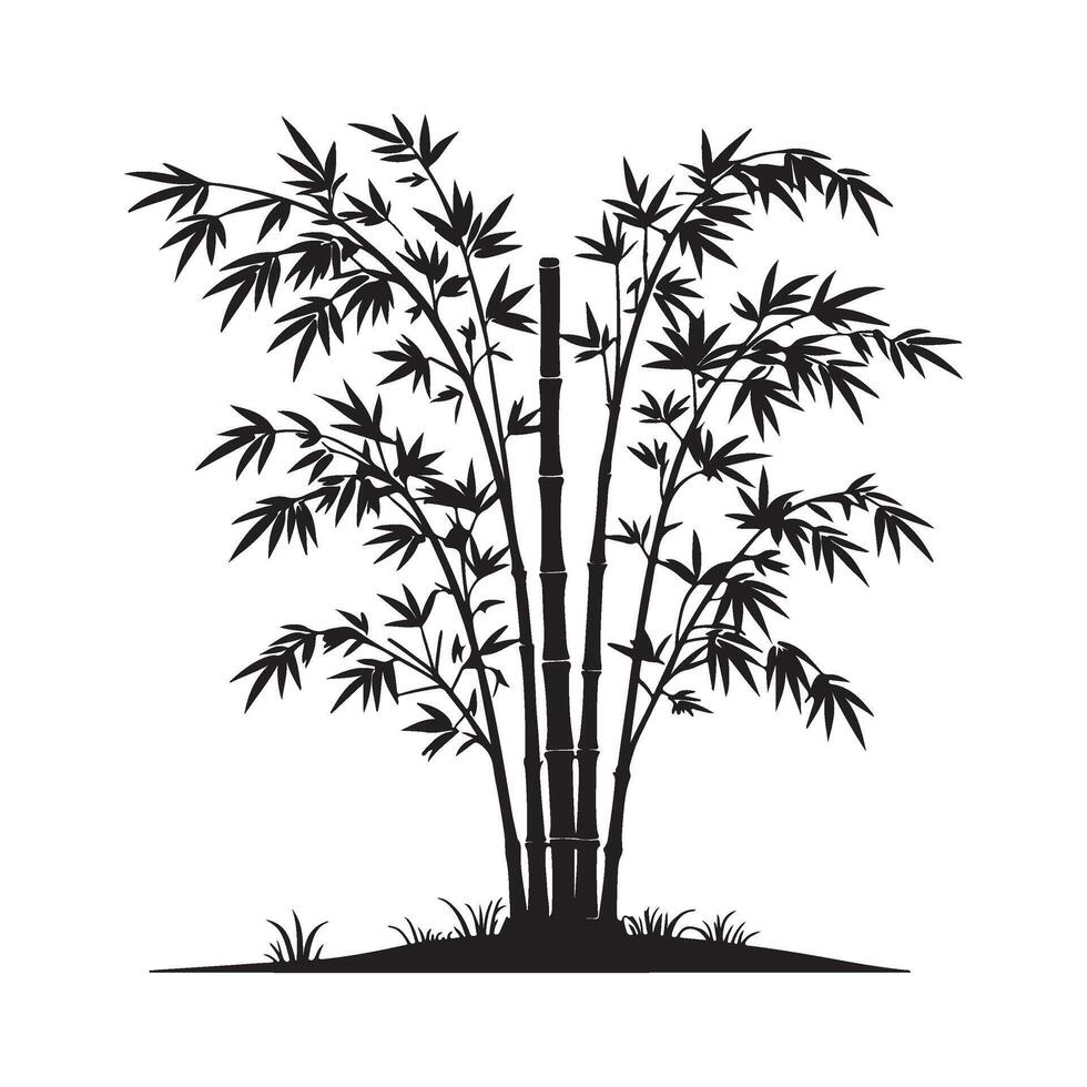 silhouette of bamboo tree with leaves on a white background vector