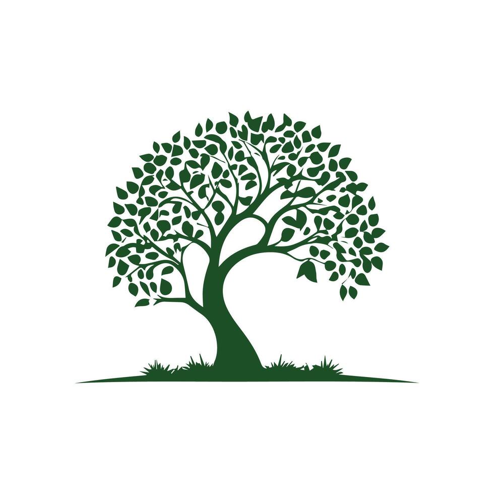 a tree with leaves on white background vector