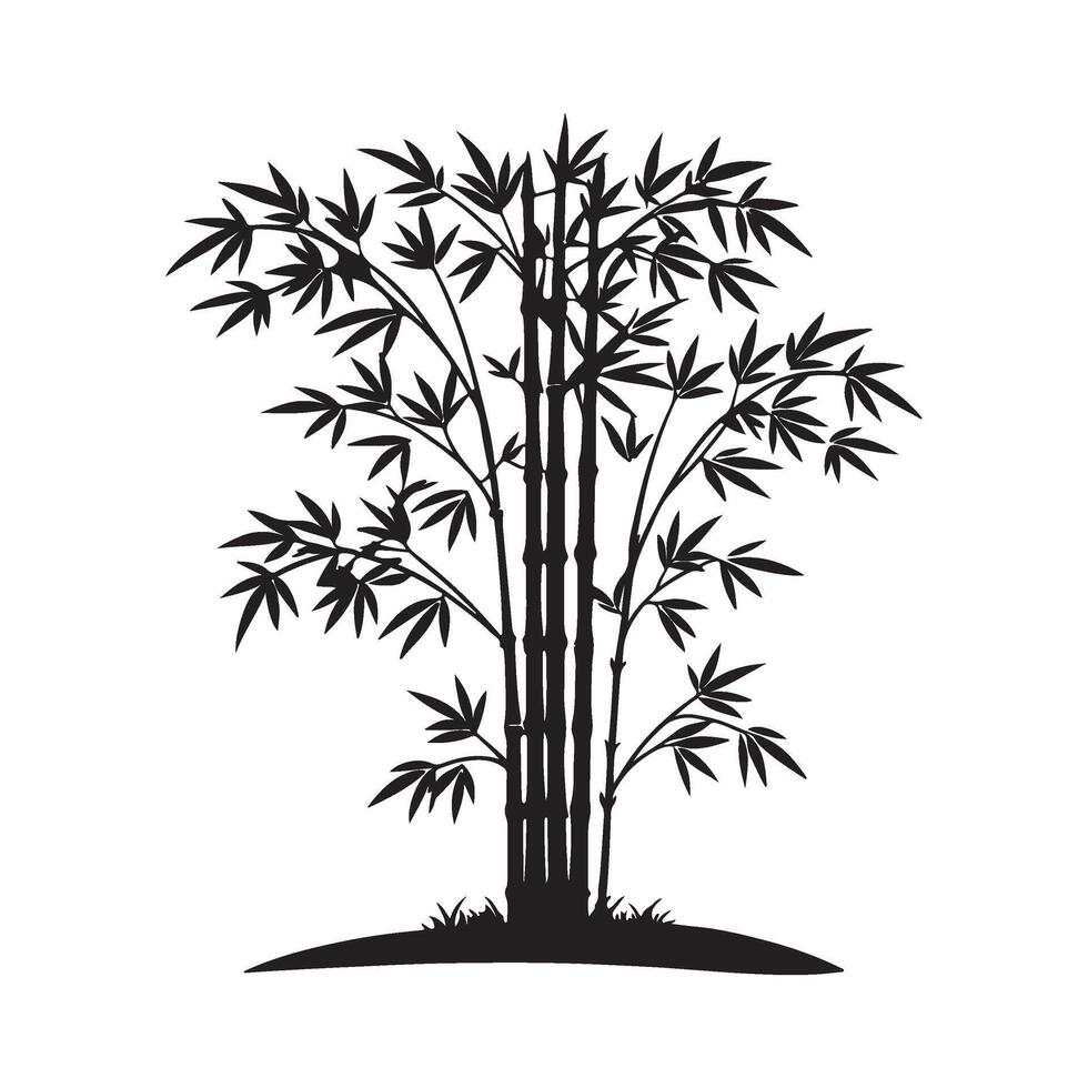 silhouette of bamboo tree on white background vector