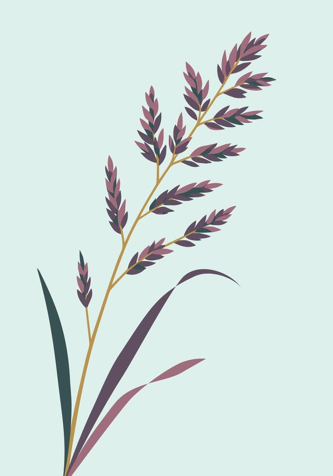 Stylized illustration of a grass stem with purple and green leaves and seed heads on a pale mint background vector