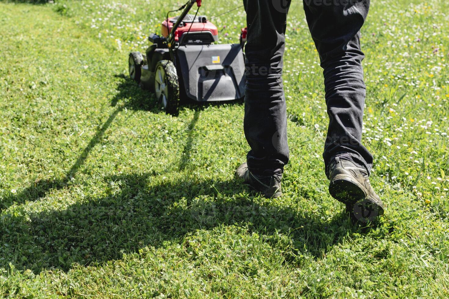 Mowing the lawn with a machine in a garden, grass photo