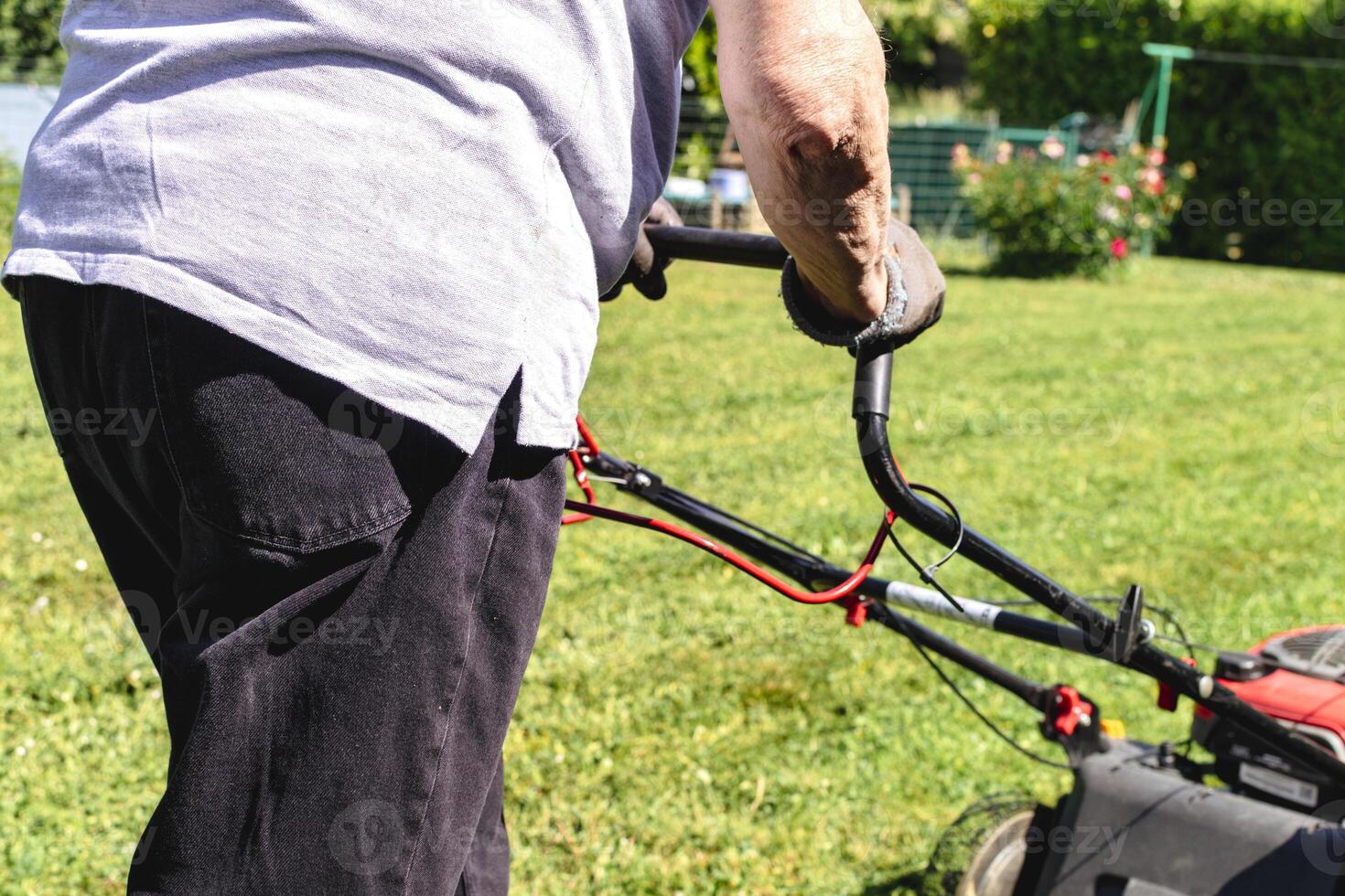 Mowing the lawn with a machine in a garden, outdoors photo