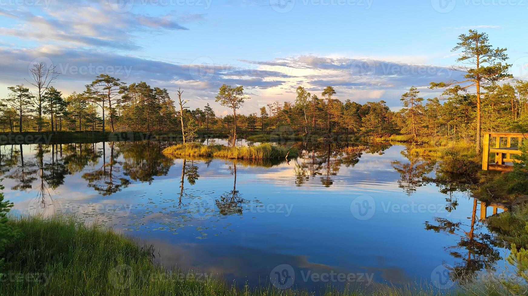 Scenic view of a calm forest lake during golden hour in Estonia, with pine trees reflecting on the still water photo
