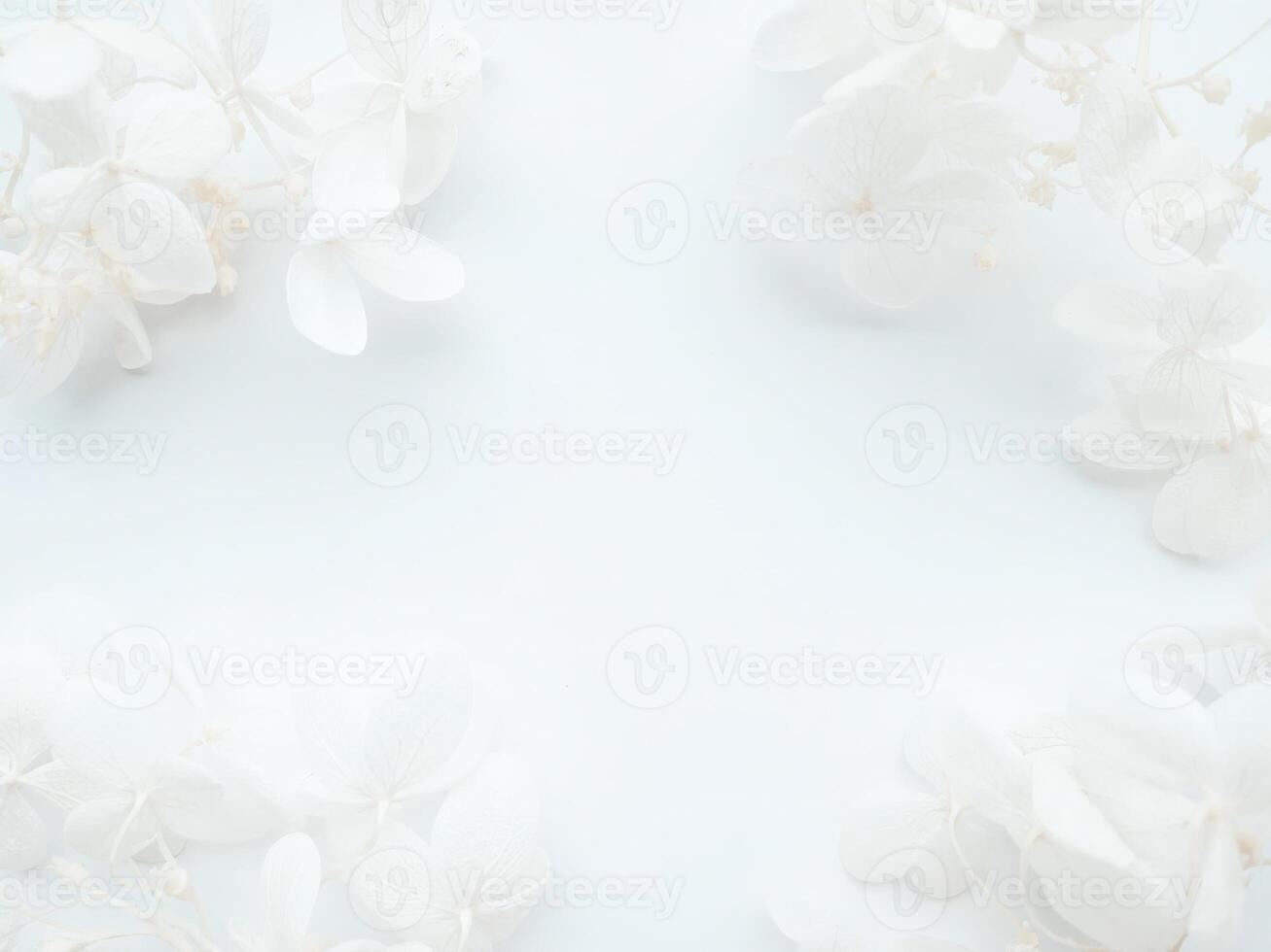 Minimalistic floral background with delicate white hydrangea petals arranged softly along the edges. photo