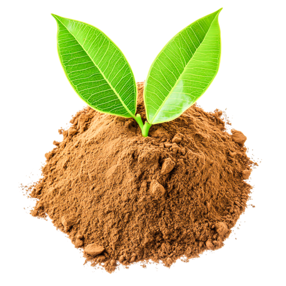 Fresh Green Leaves Emerging from Rich Soil in Natural Earthy Composition png