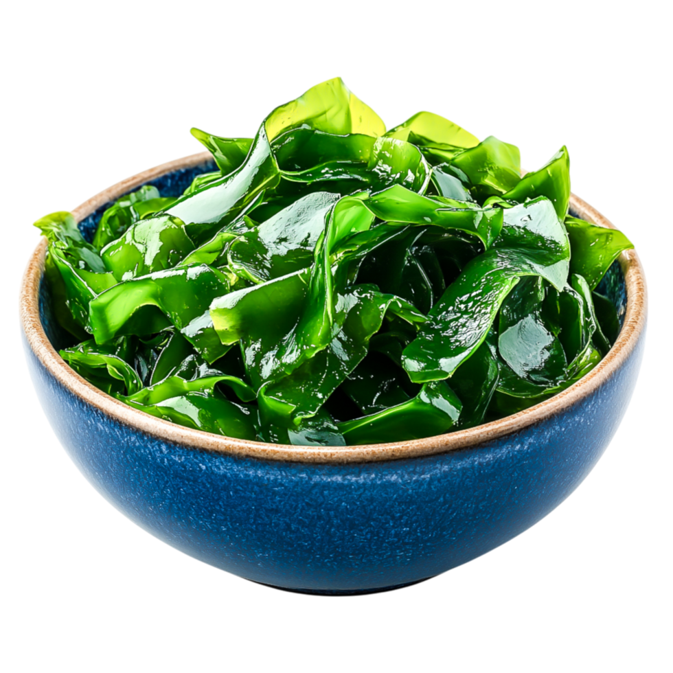 Fresh Green Seaweed in a Blue Bowl on for Healthy Cooking png