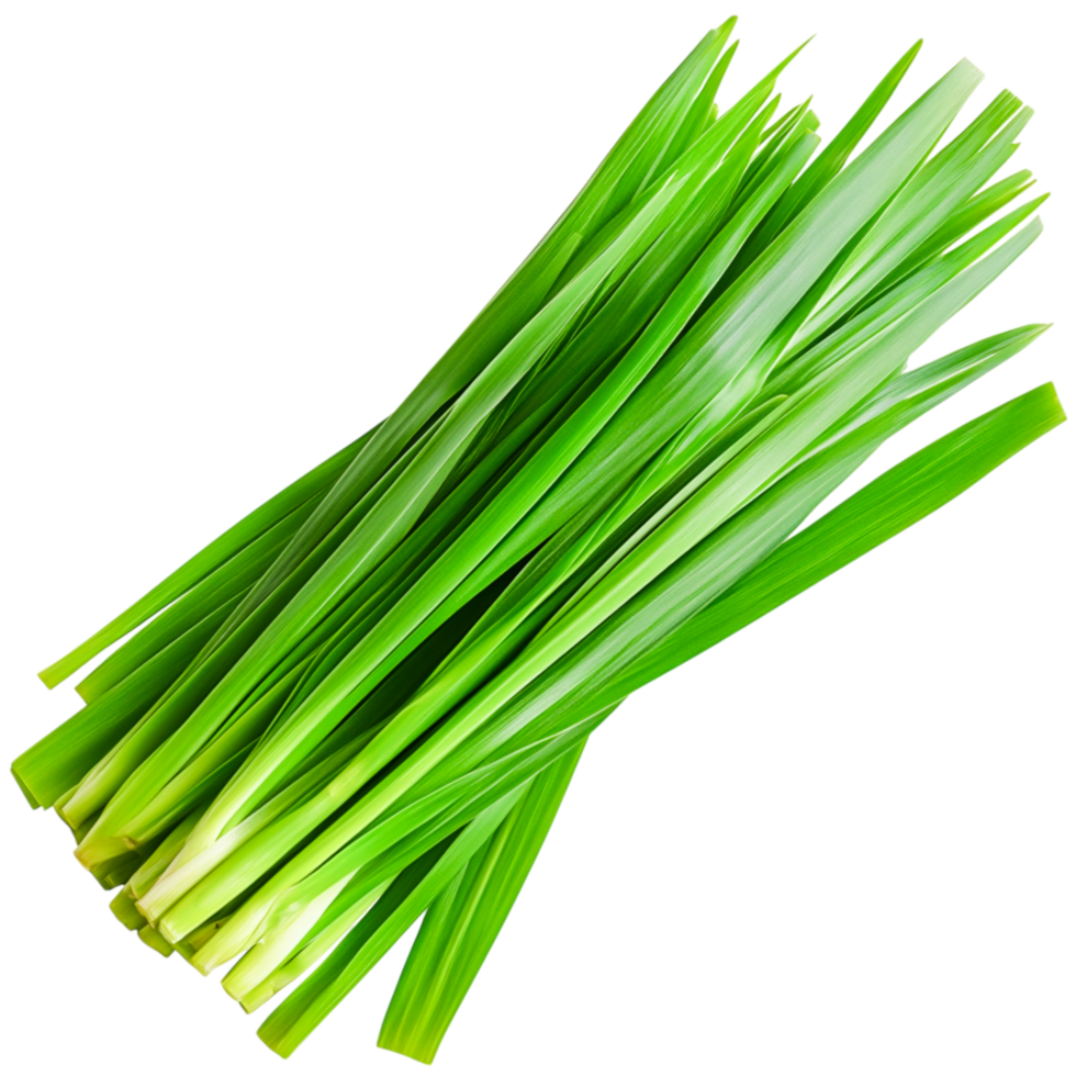 Fresh Green Leeks with Vibrant Leaves for Culinary Use png