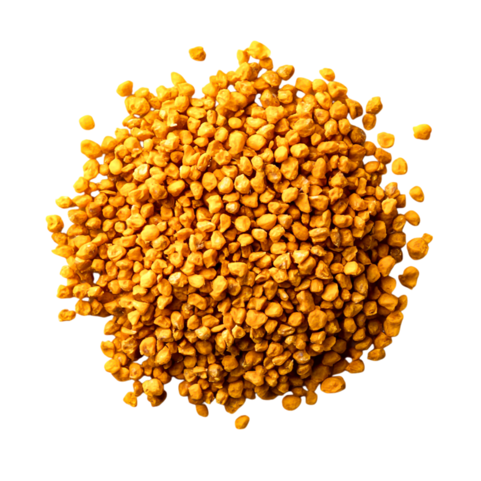 closeup of Golden Yellow Seeds on for Culinary and Health Uses png
