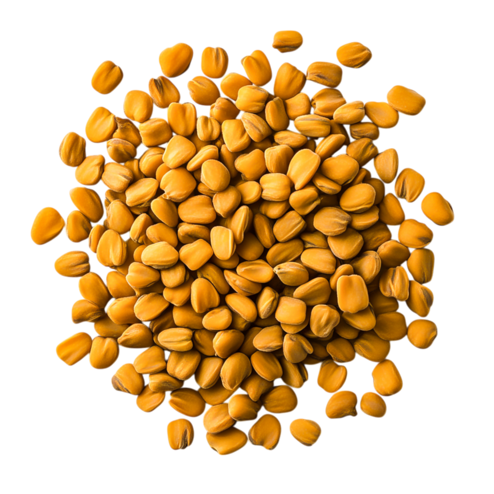 closeup View of Yellow Seeds Piled Together for Textures png