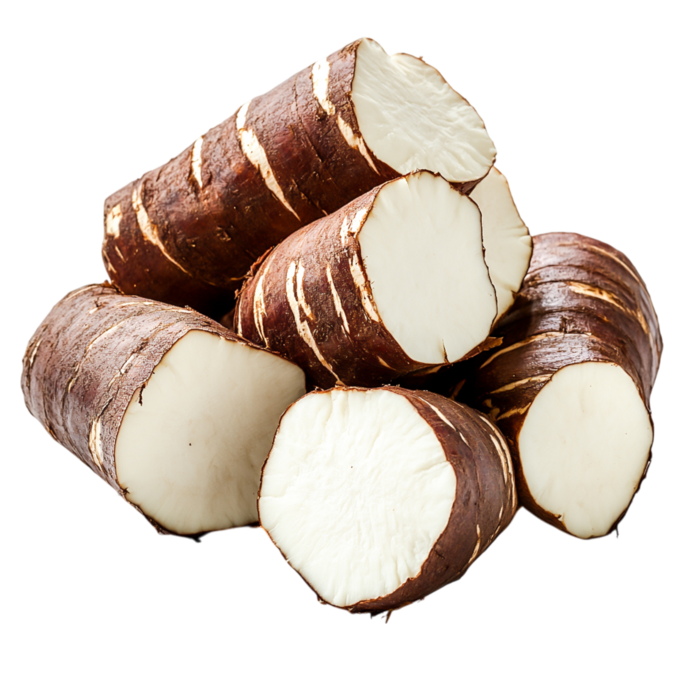Fresh Raw Yucca Roots for Culinary and Health Use png