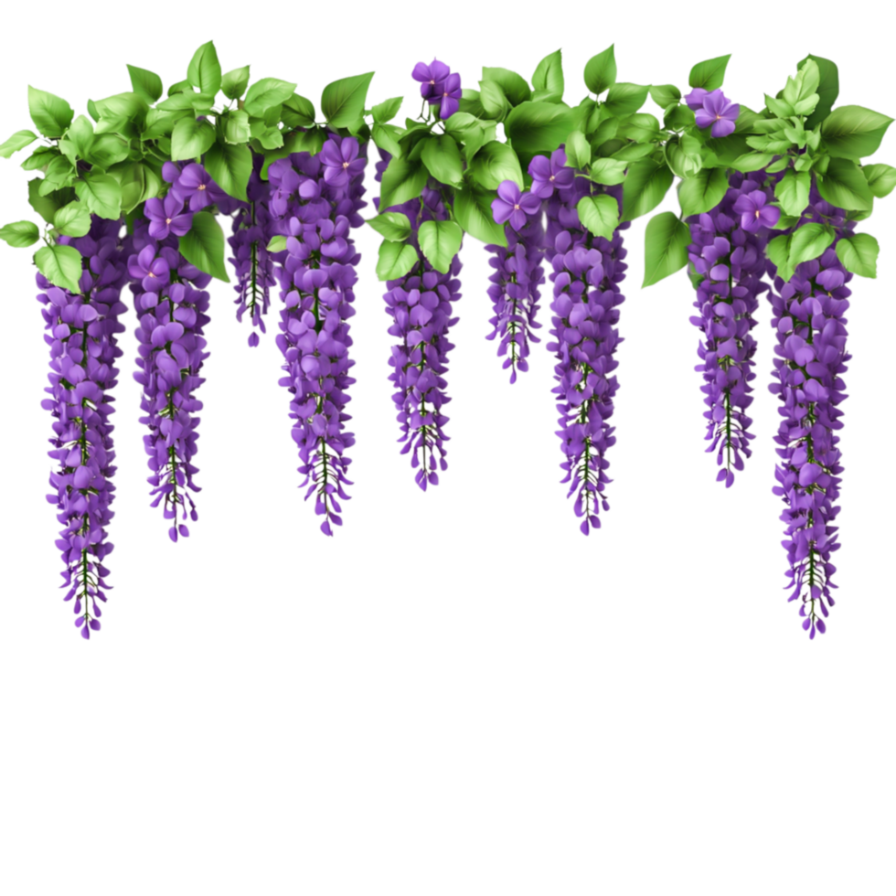 Beautiful cascading wisteria flowers in vibrant purple against a lush green background png