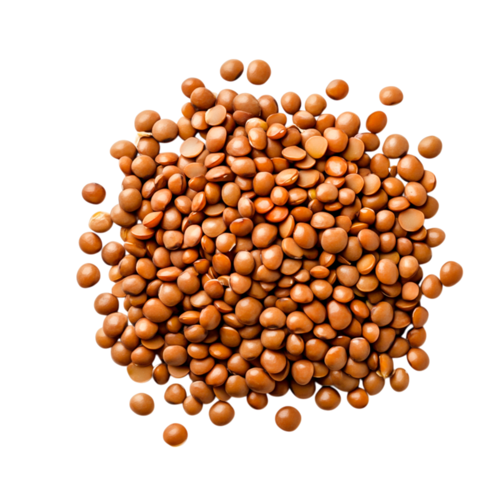 closeup View of Healthy Brown Lentils Piled for Culinary Use png