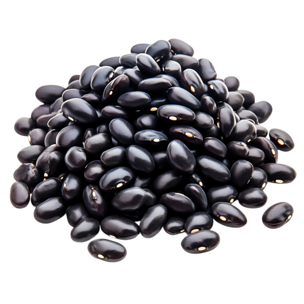 Fresh Black Beans in Heaping Pile Against a for Healthy Cooking png