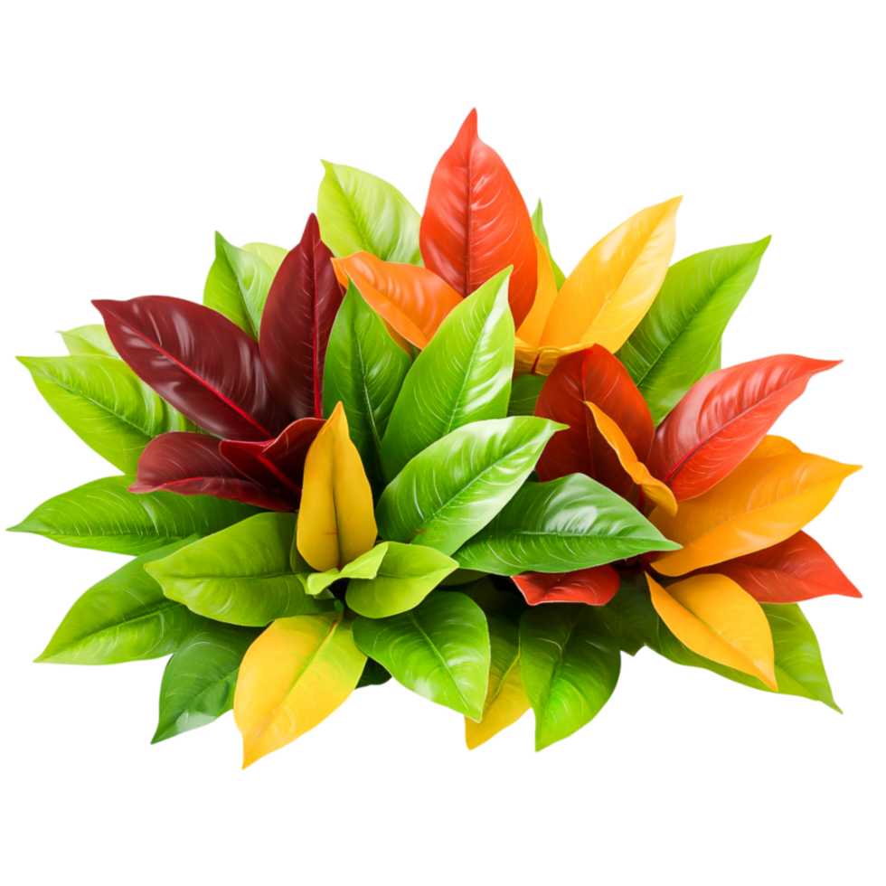 Vibrant Tropical Leaves in Shades of Green, Red, Yellow, and Orange for Interior Design png