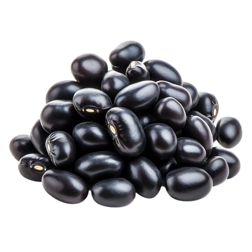 Fresh and Organic Black Beans for Healthy Eating Concepts png