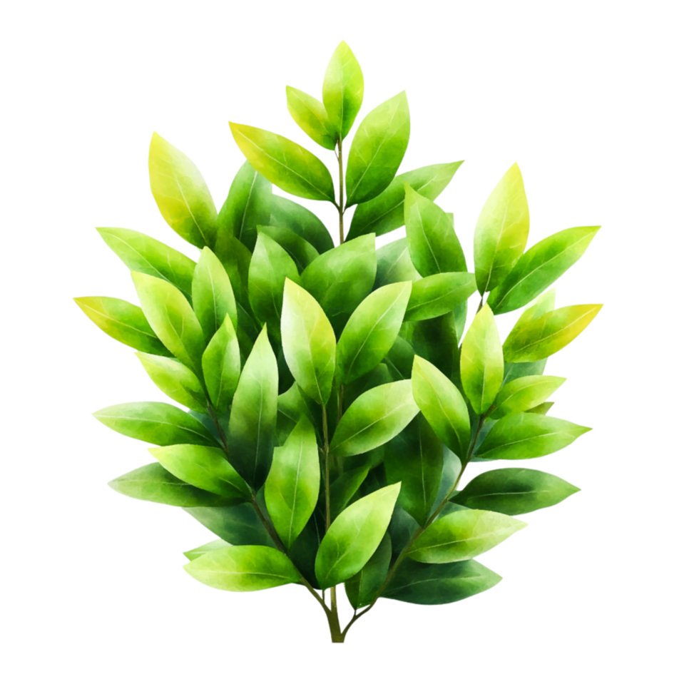 Lush Green Leaves Arrangement for Natural Design Projects png