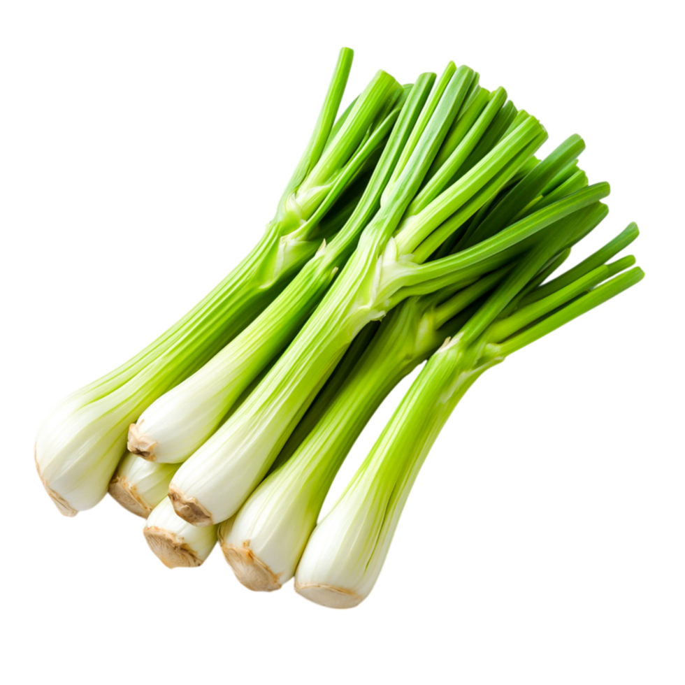 Fresh Green Onions Bunch for Culinary Use png