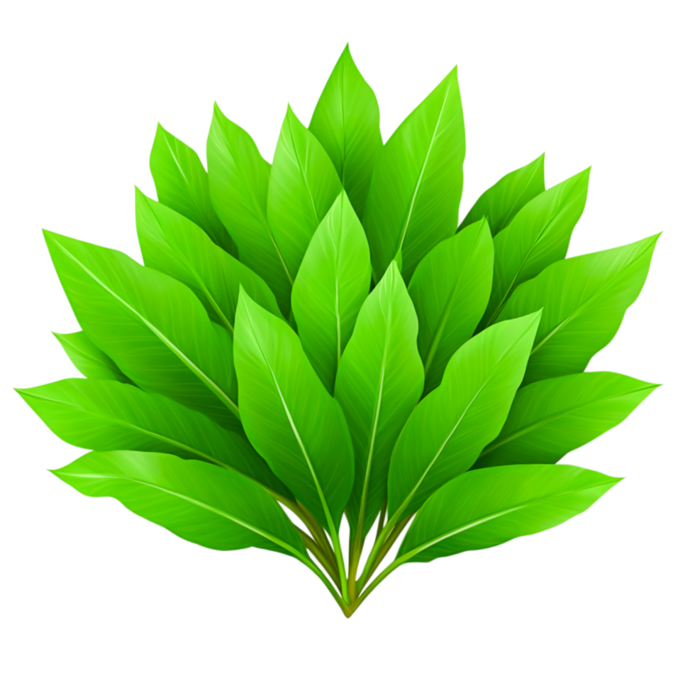 Vibrant Green Leaves Arrangement for Nature Background or Design Use png