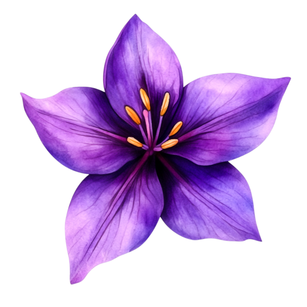 Vibrant Purple Flower with Delicate Petals and Striking Yellow Stamen png