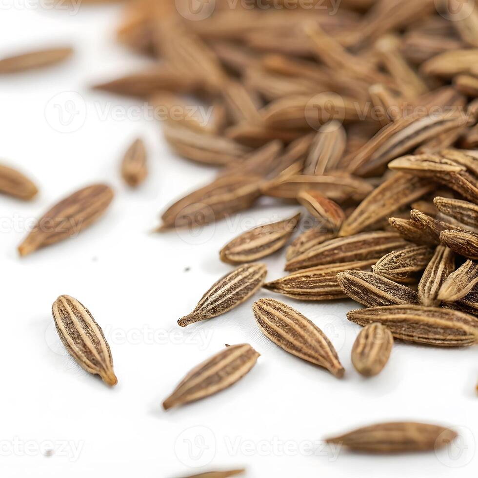 cinnamon seeds on white background photo