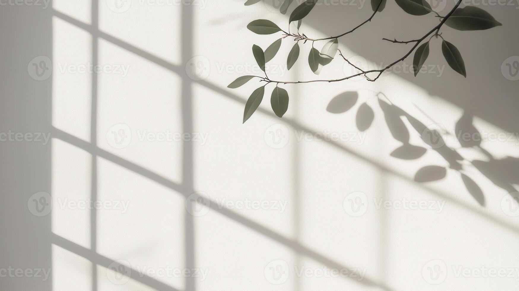 Sunlight is casting shadows of leaves on wall, white a creating a peaceful and minimalist aesthetic background photo