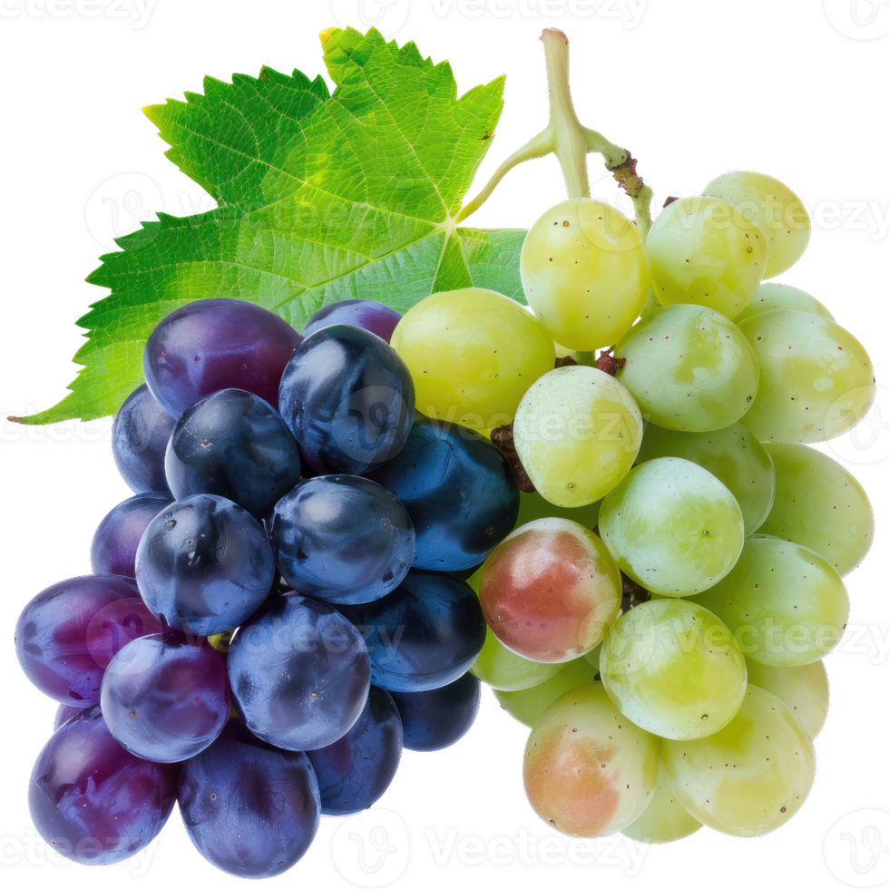 Fresh Green And Purple Grapes Cluster With Leaf, Healthy Fruit Still Life png