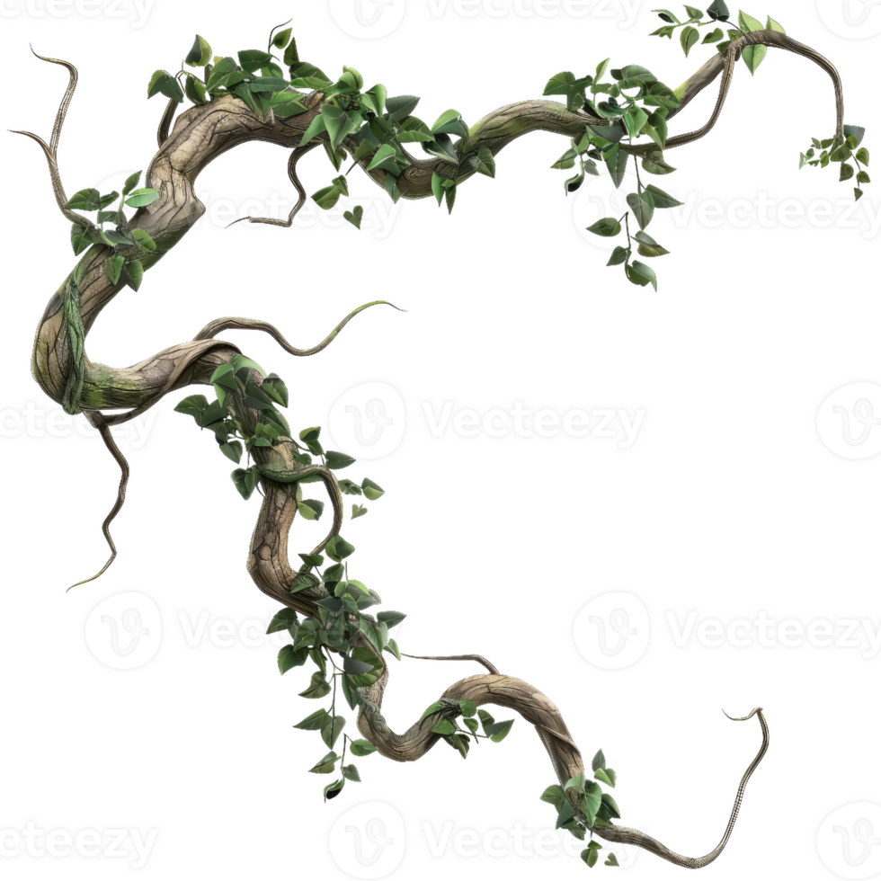 Fantasy Vine Plant, Lush Green Leaves And Twisting Branches png