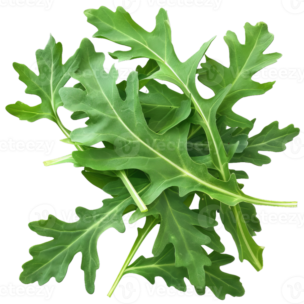 Fresh Green Arugula Leaves Pile For Healthy Eating png