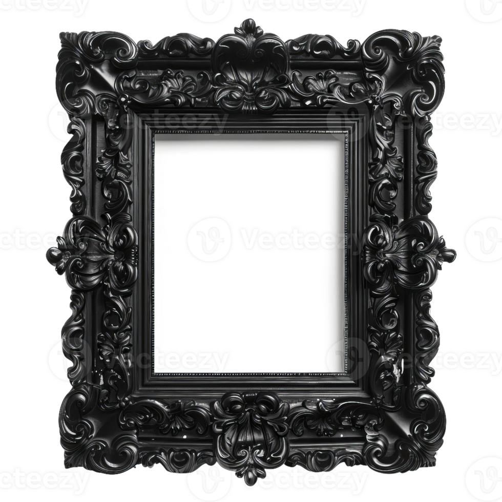 Ornate Black Picture Frame With Empty Space png