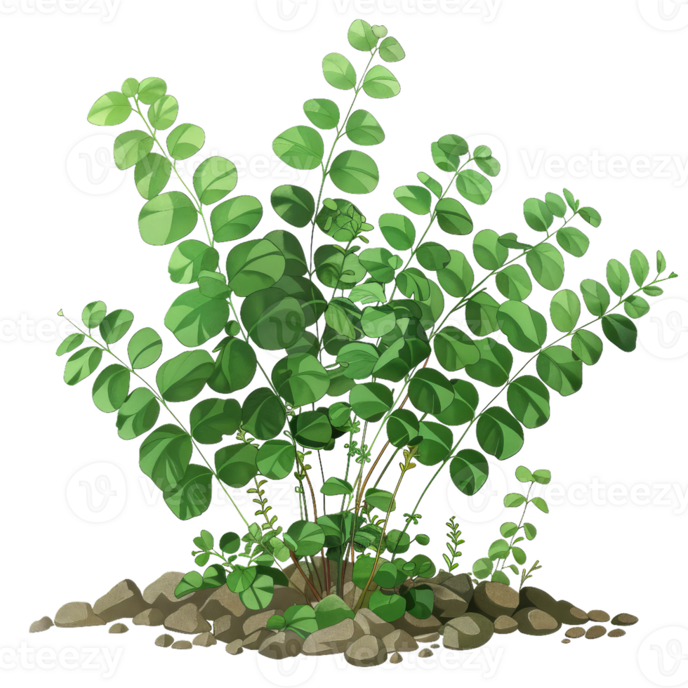 Vibrant Green Bush Plant Growing From Rockpile png