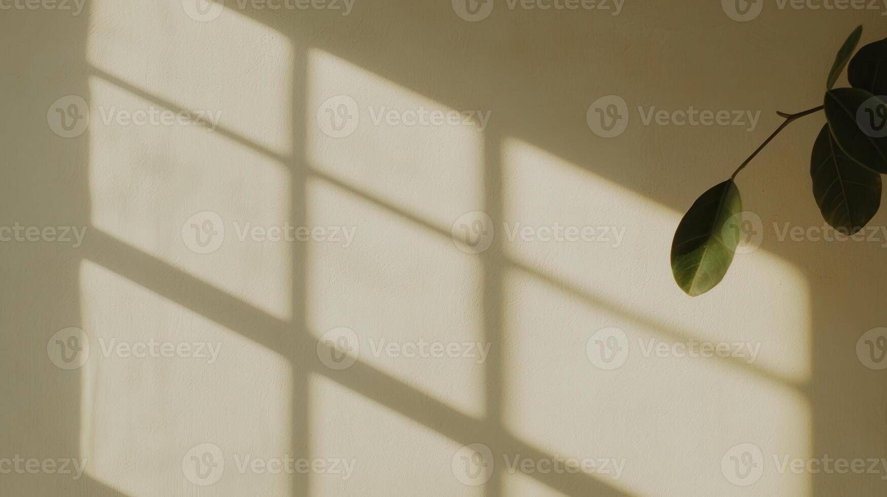 Bright sunlight filtering through window blinds houseplant geometric shadow patterns across verdant creating leaves photo