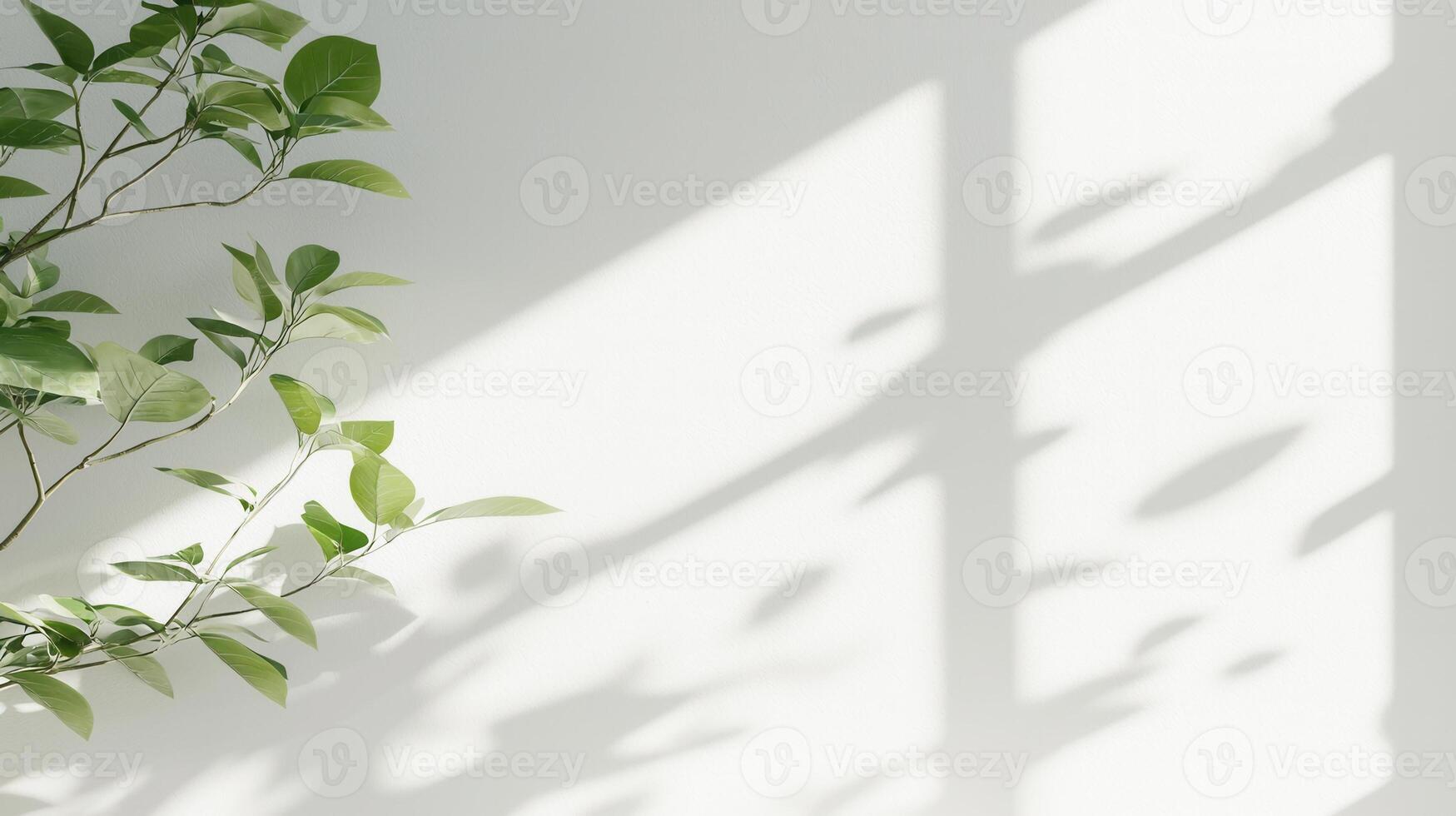 Plant leaves shadow shadows casting a white wall, creating an aesthetically pleasing interplay of light and on copy space abstract background photo