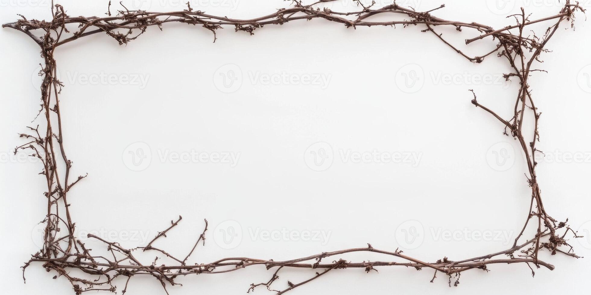Decorative natural frame made of twigs placed on a plain background for artistic purposes photo