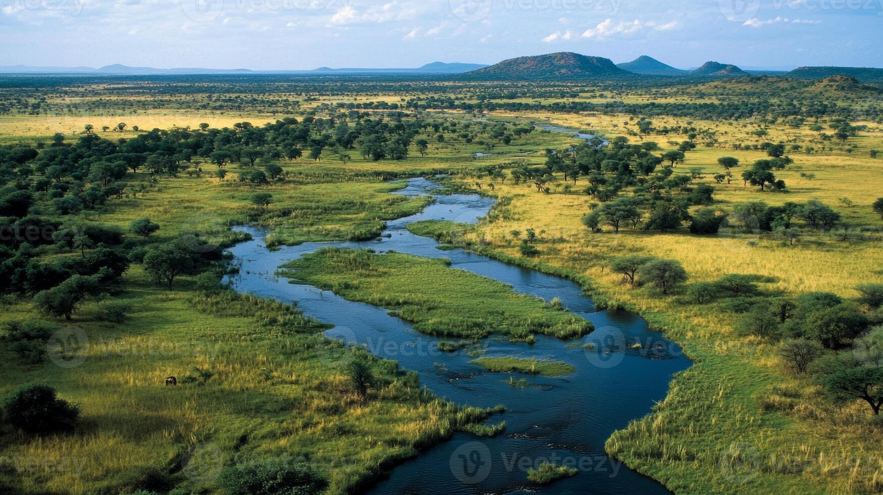 Stunning aerial view of a winding river through a lush landscape in Africa during the warm daylight hours photo