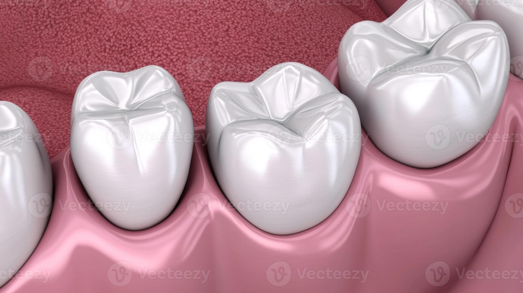 Detailed view of healthy teeth showing enamel and gum structure in a dental setting photo