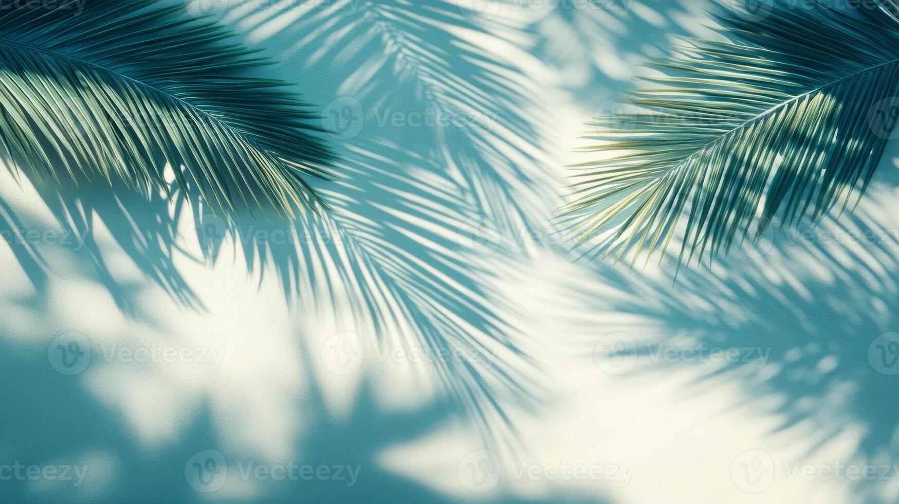 Captivating interplay of palm shadows dancing on a serene wall in tropical paradise under the soft glow of sunlight photo