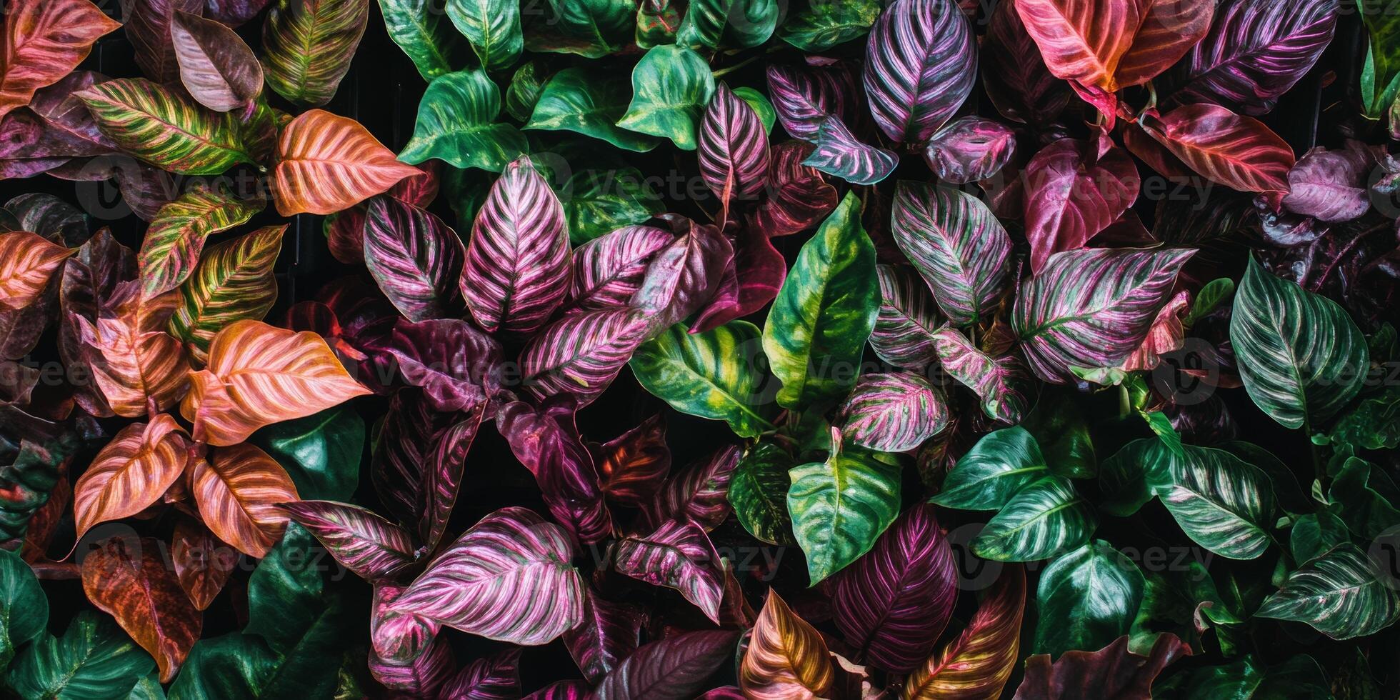 Vibrant foliage display in a tropical garden showcasing diverse leaf patterns and colors during daytime photo