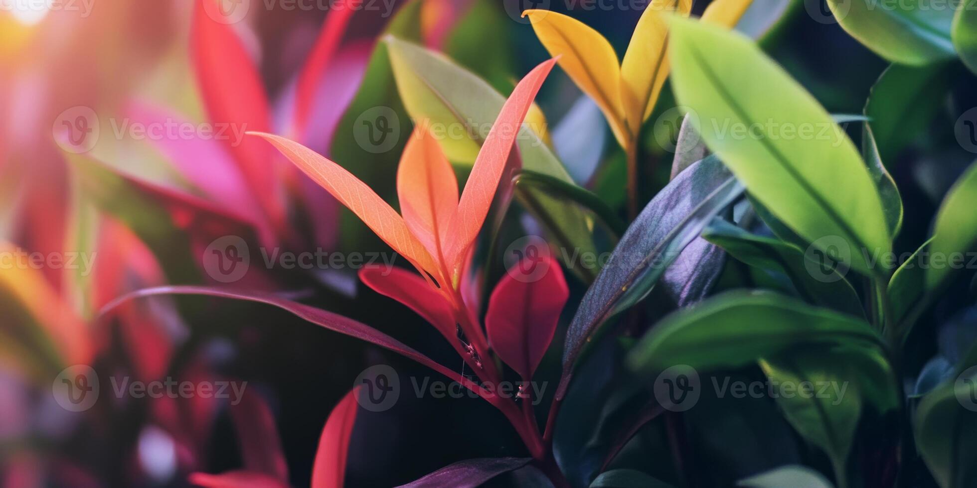 Colorful leaves showcase stunning hues in a lush garden during golden hour photo