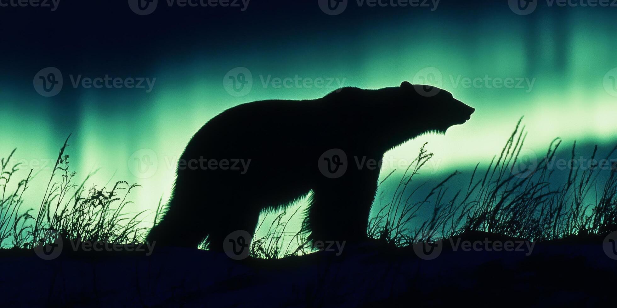 Bear silhouette against vibrant northern lights in a tranquil wilderness setting at dusk photo