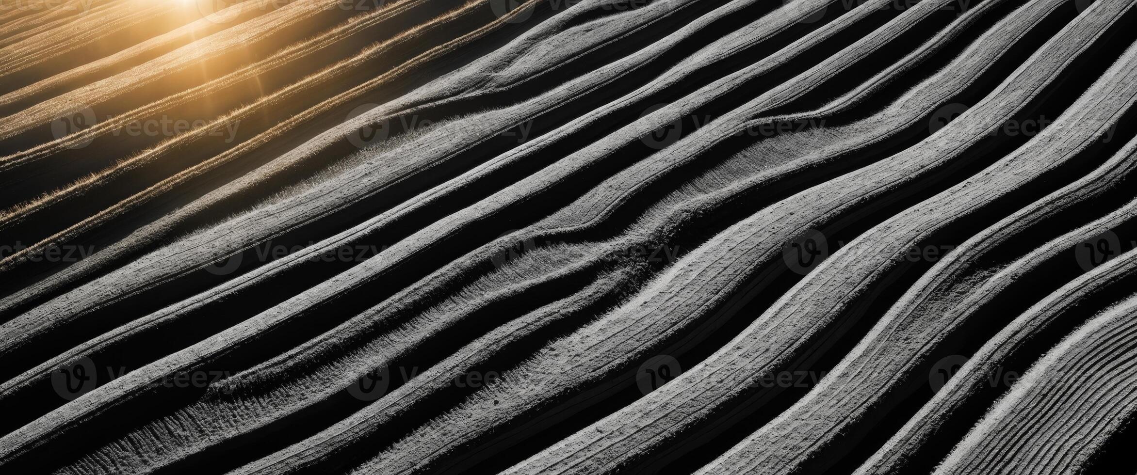 An abstract photo of a field with sun rays