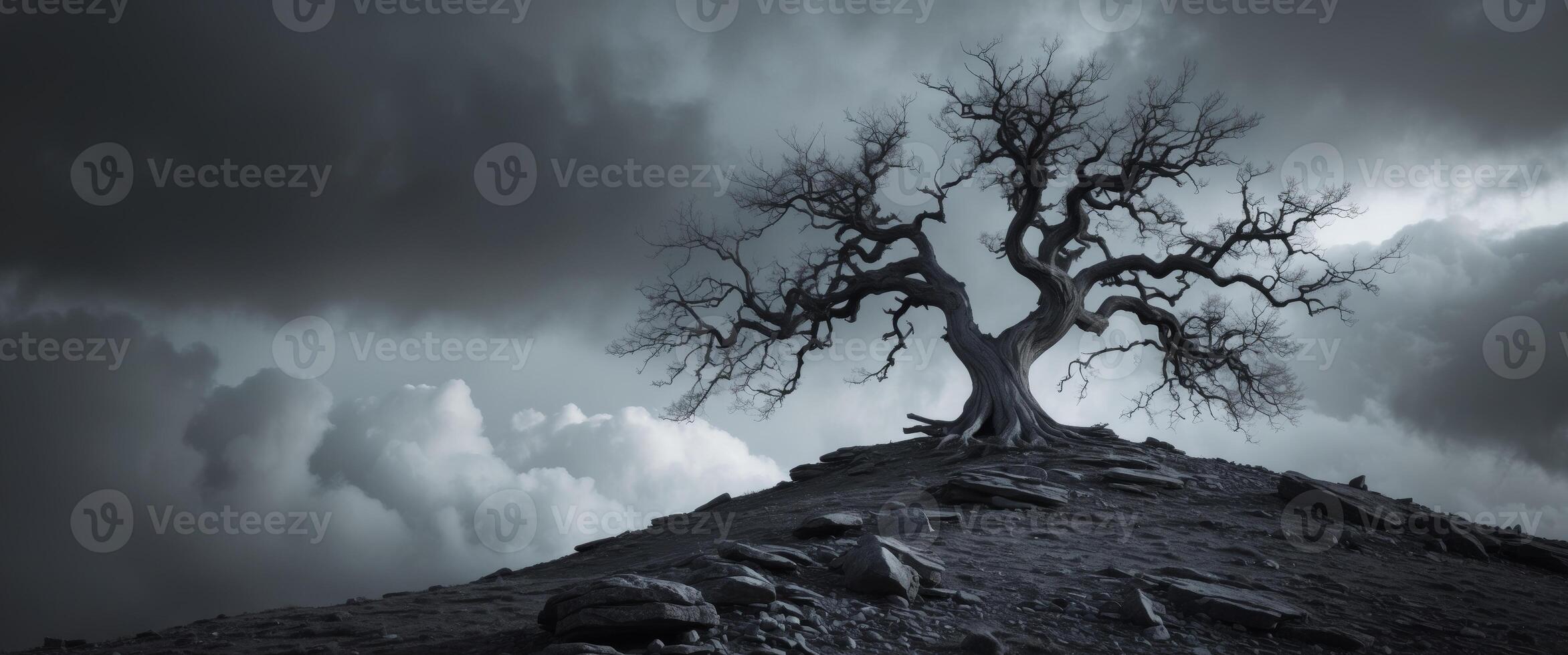 Lonely Tree Standing on a Hilltop Under a Dramatic Sky, Gloomy Landscape Art. photo