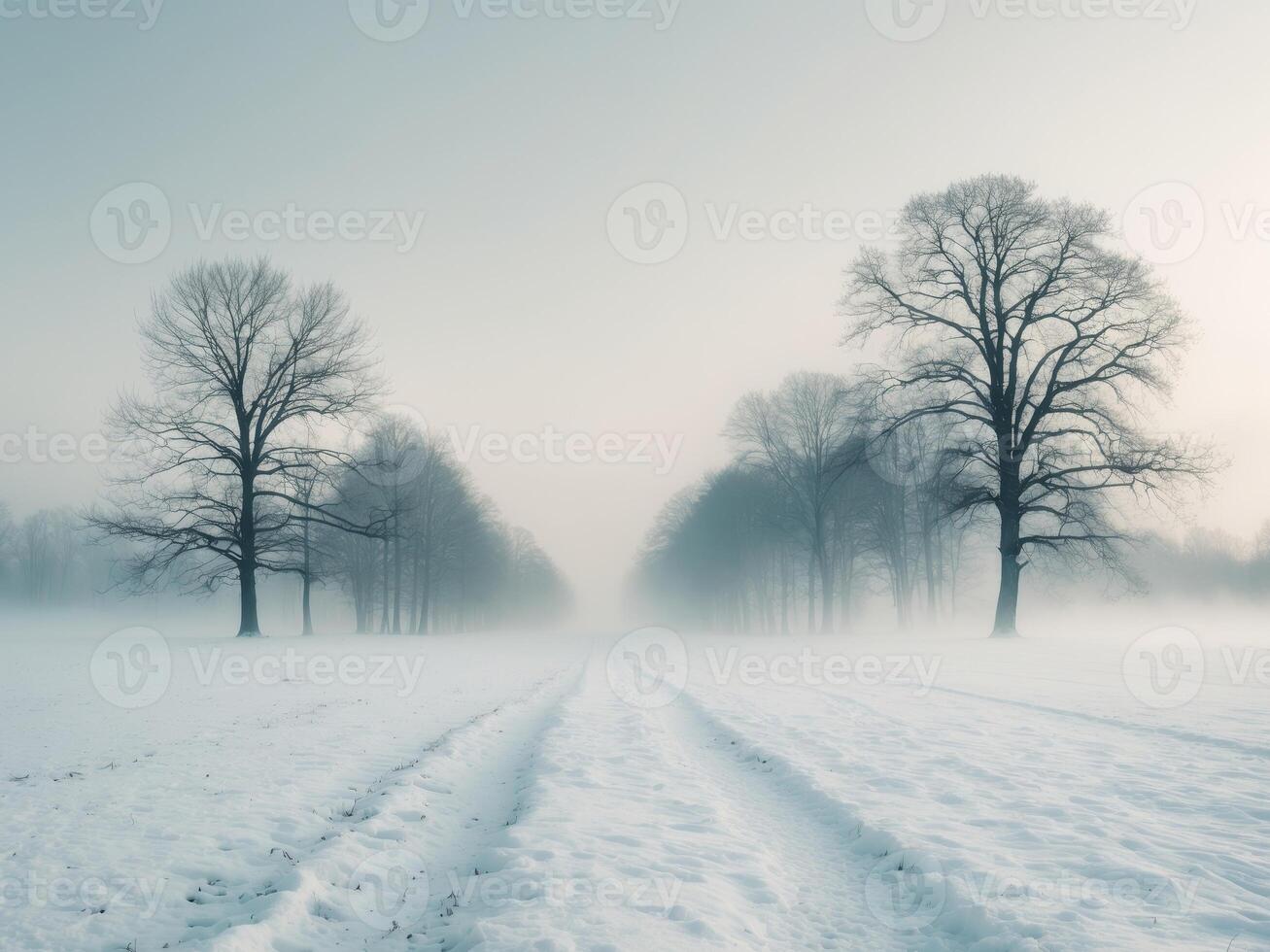 A Serene Winter Landscape. SnowCovered Field and Bare Trees Enveloped in Thick Fog. photo
