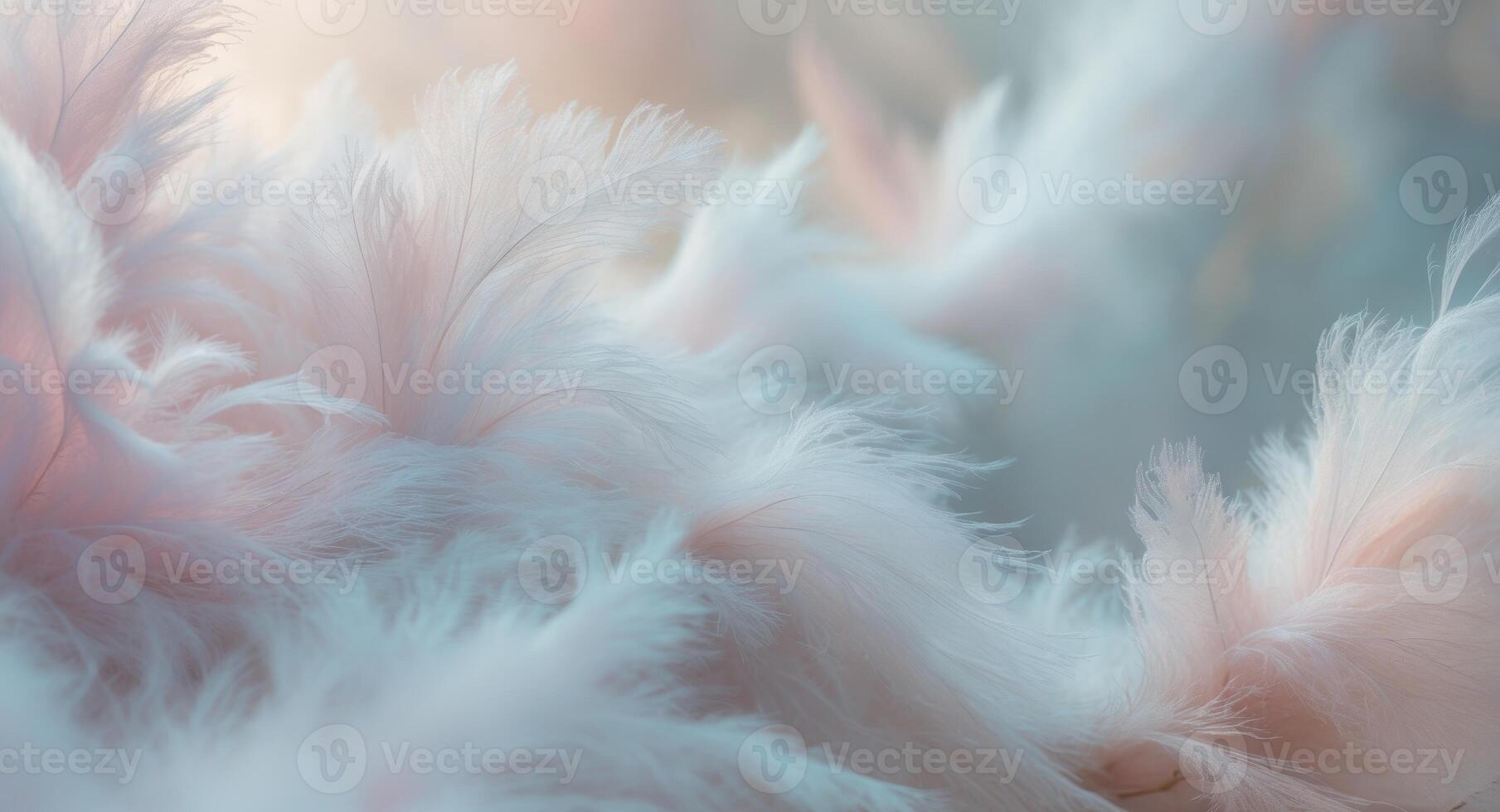 A close up of a bunch of white feathers photo