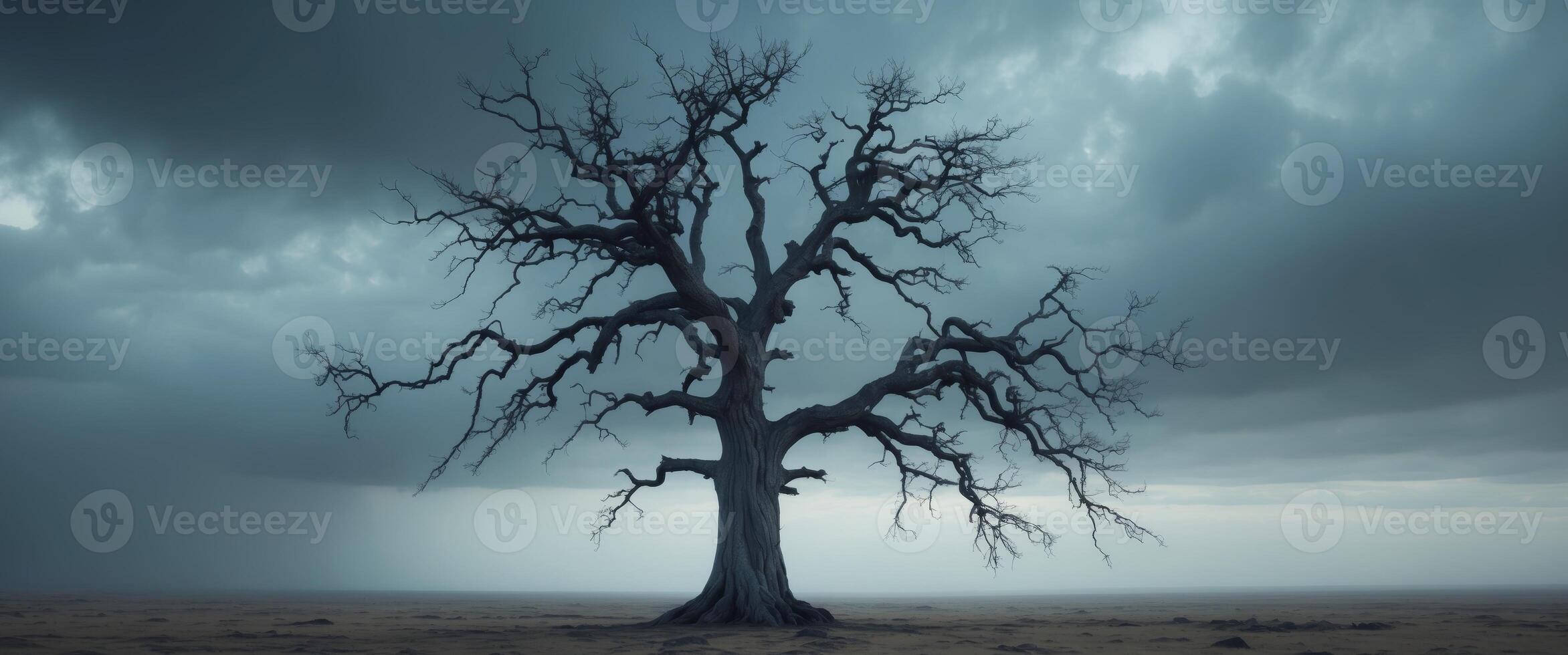 Solitary Tree Under a Stormy Sky, Whispers of Natures Resilience and Serenity. photo