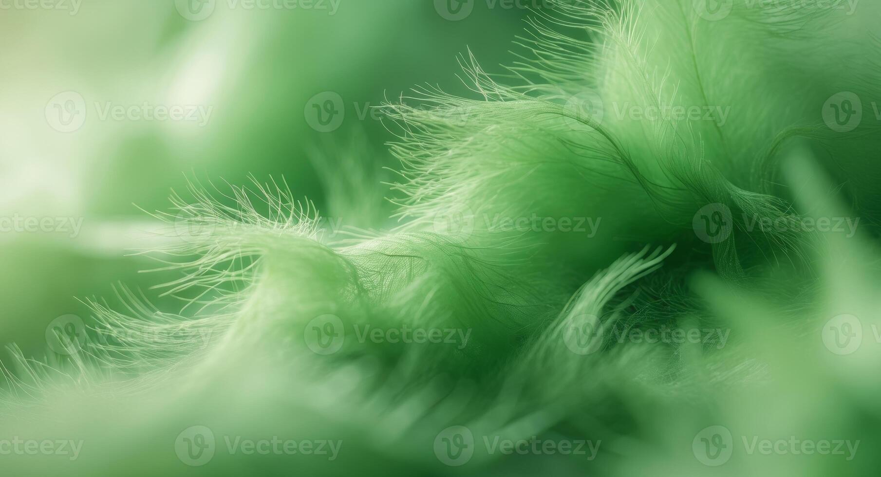 Abstract Green Feathers. A Soft and Dreamy Texture, A Calming, Serene Aesthetic. photo