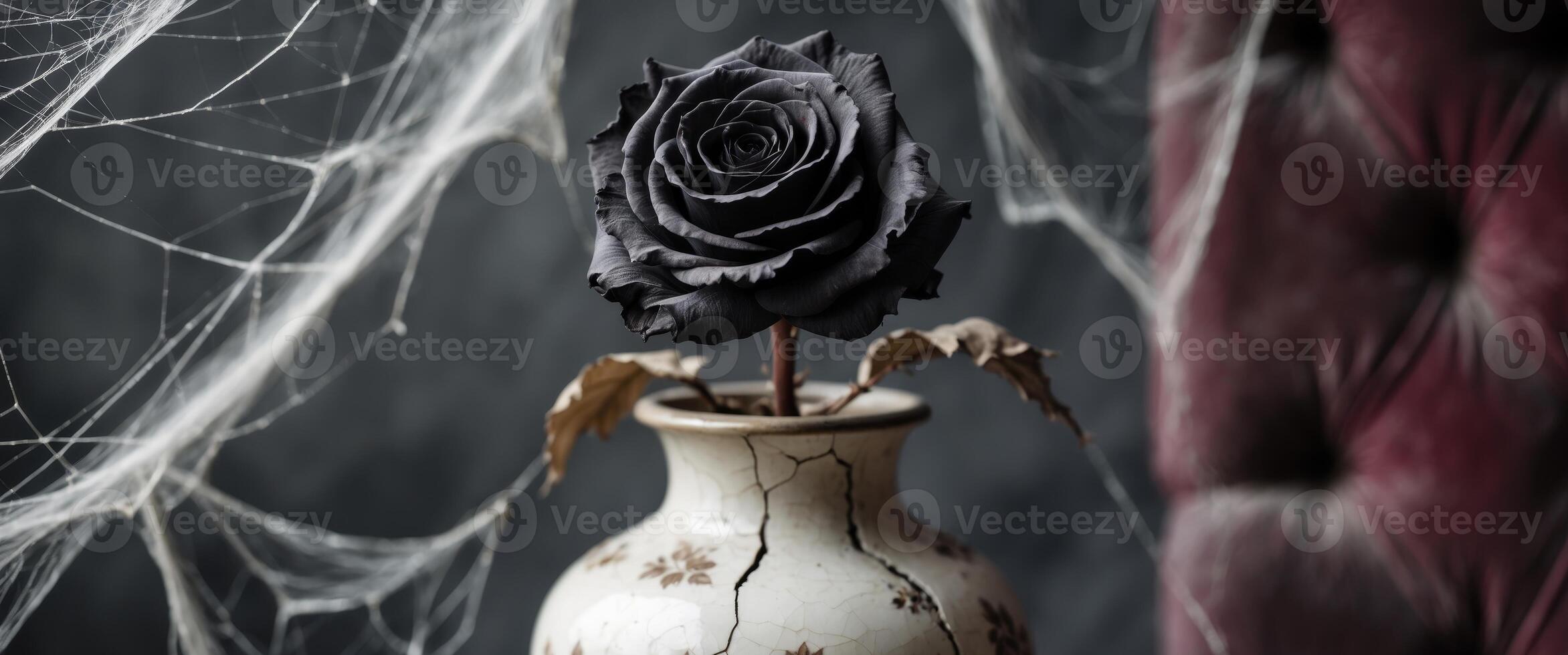 Black Rose in Cracked Vase with Spiderwebs, a Gothic Still Life Composition photo