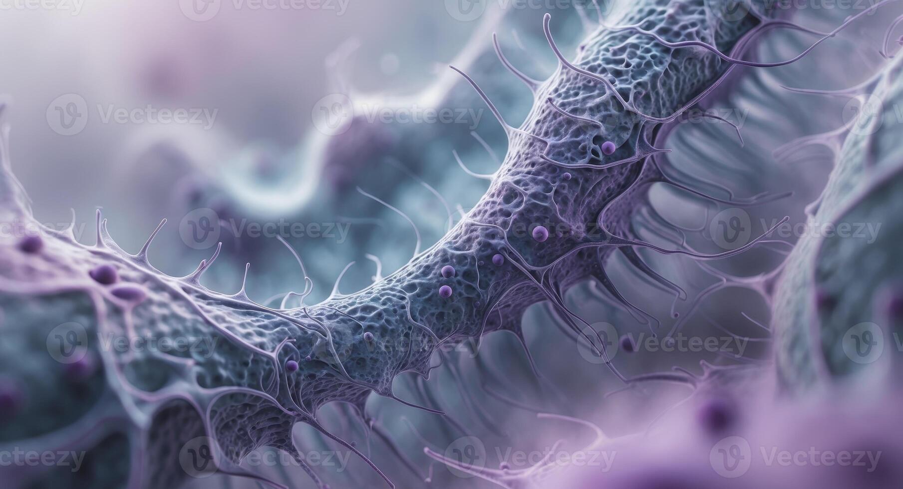 A close up of a cell with purple and white photo