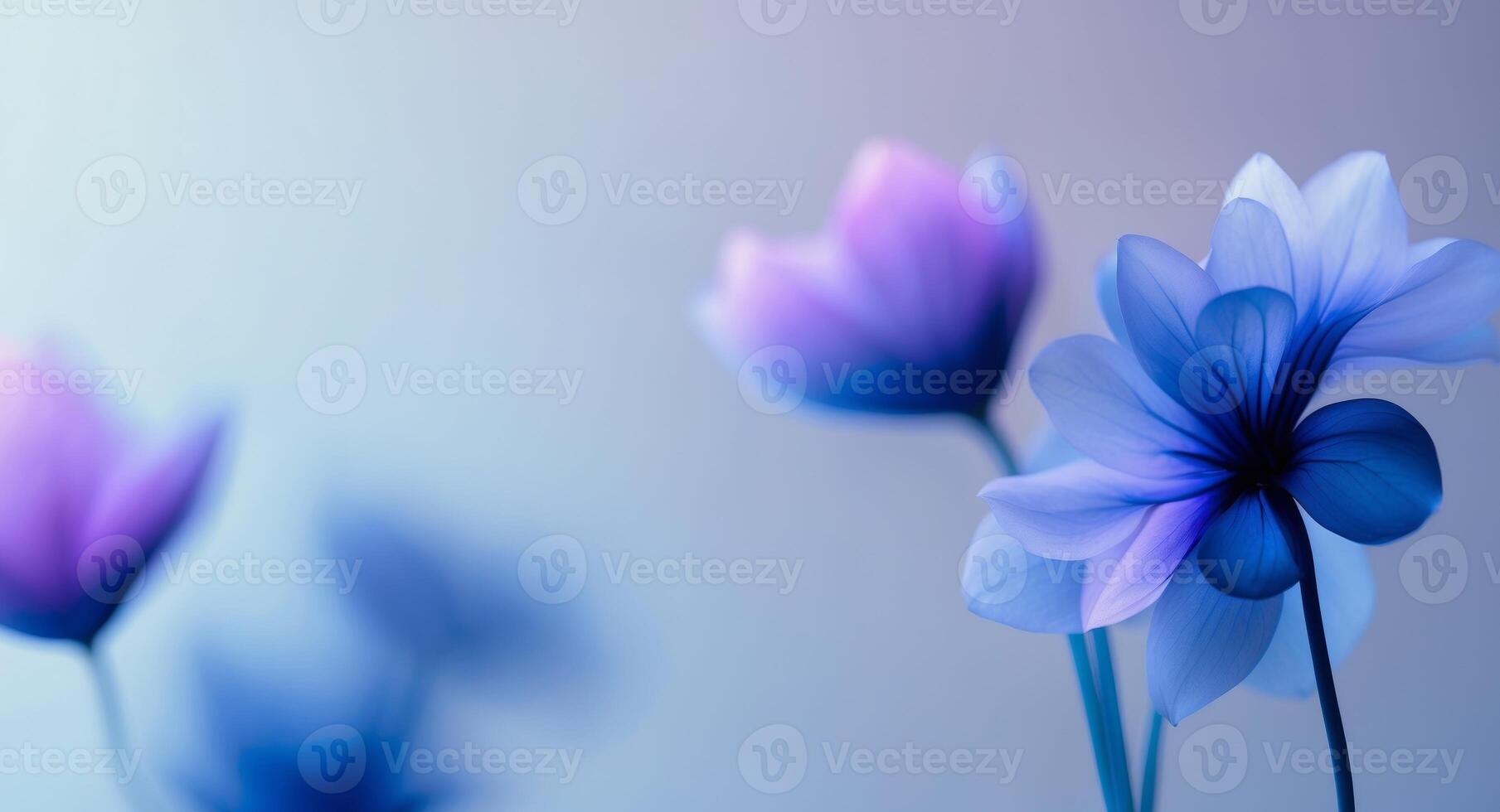 Blue flowers on a blue background photo