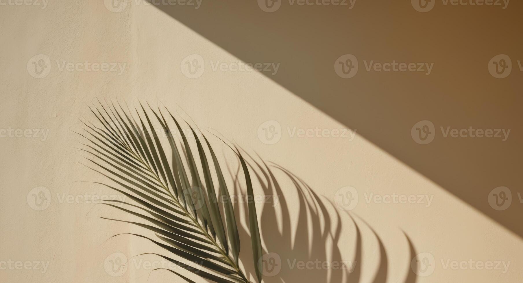 Palm leaf on wall photo
